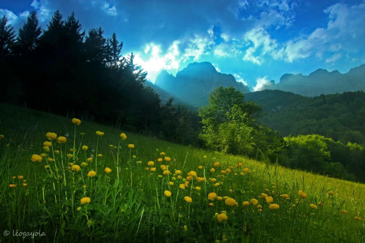 Eterpa Les Chalets De Pre Clos En Vercors Saint-Andéol Zewnętrze zdjęcie